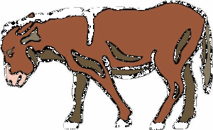 Dieren Cliparts Ezels 