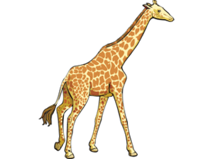 Dieren Cliparts Giraffen 