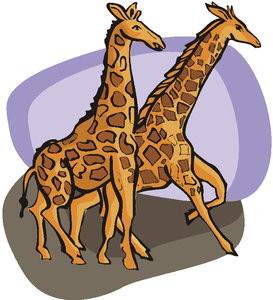 Dieren Cliparts Giraffen 