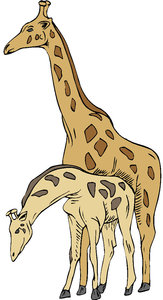 Dieren Cliparts Giraffen 