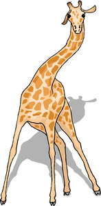 Dieren Cliparts Giraffen 