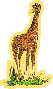 Dieren Cliparts Giraffen 