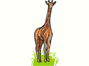 Dieren Cliparts Giraffen 