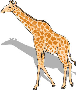 Dieren Cliparts Giraffen 