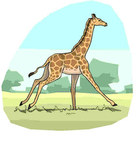 Dieren Cliparts Giraffen 