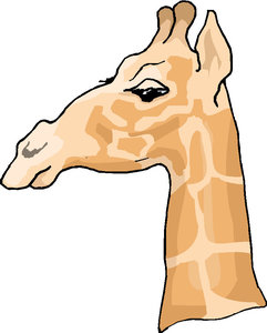 Dieren Cliparts Giraffen 