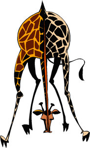 Dieren Cliparts Giraffen 