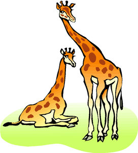 Dieren Cliparts Giraffen 