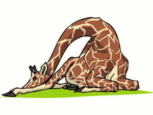 Dieren Cliparts Giraffen 