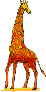 Dieren Cliparts Giraffen 