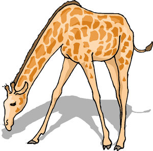 Dieren Cliparts Giraffen 