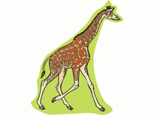 Dieren Cliparts Giraffen 