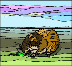 Dieren Cliparts Hamsters 