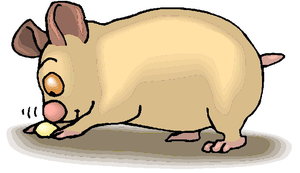 Dieren Cliparts Hamsters 
