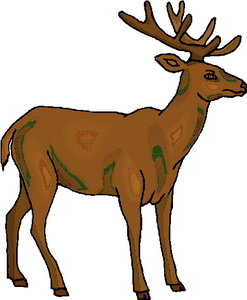 Dieren Cliparts Herten 