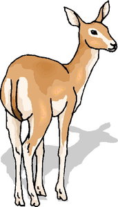 Dieren Cliparts Herten 