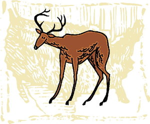 Dieren Cliparts Herten 