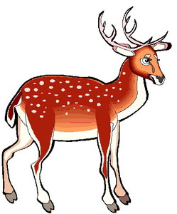 Dieren Cliparts Herten 