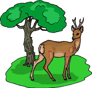 Dieren Cliparts Herten 