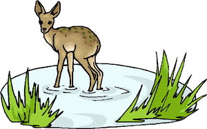 Dieren Cliparts Herten 