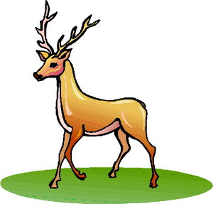 Dieren Cliparts Herten 