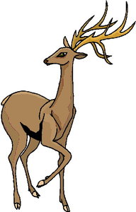 Dieren Cliparts Herten 