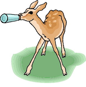 Dieren Cliparts Herten 