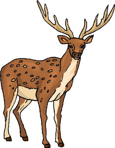 Dieren Cliparts Herten 