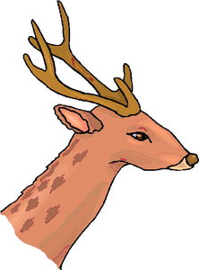 Dieren Cliparts Herten 