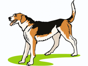 Dieren Cliparts Honden 