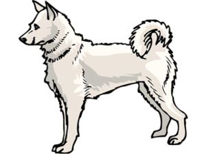 Dieren Cliparts Honden 