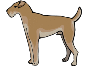Dieren Cliparts Honden 