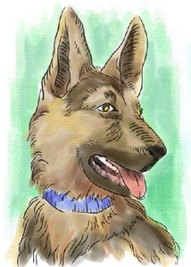 Dieren Cliparts Honden 