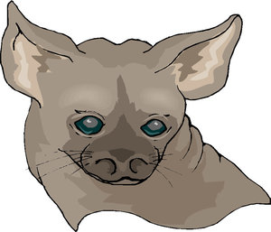 Dieren Cliparts Honden 