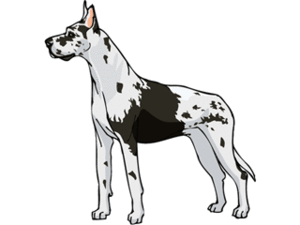 Dieren Cliparts Honden 
