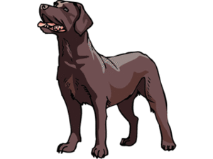 Dieren Cliparts Honden 