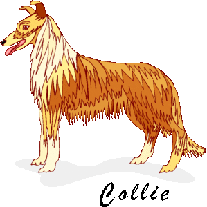 Dieren Cliparts Honden 