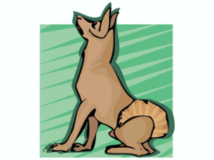 Dieren Cliparts Honden Hedershond