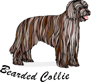 Dieren Cliparts Honden 