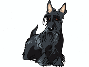 Dieren Cliparts Honden 