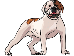 Dieren Cliparts Honden 