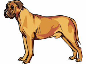 Dieren Cliparts Honden 