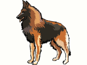 Dieren Cliparts Honden 