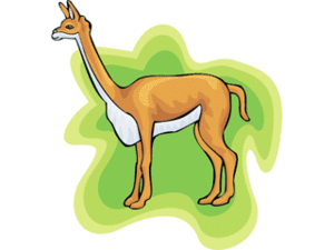 Dieren Cliparts Kamelen 