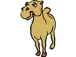 Dieren Cliparts Kamelen 