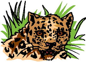 Dieren Cliparts Luipaarden 