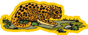 Dieren Cliparts Luipaarden 