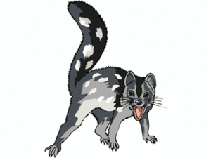Dieren Cliparts Marmotten 