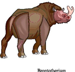 Dieren Cliparts Neushoorns 