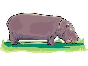 Dieren Cliparts Nijlpaarden 